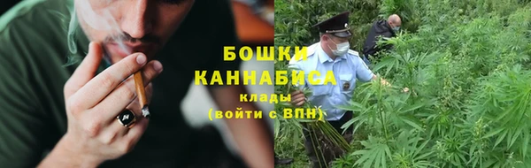 трава Балахна