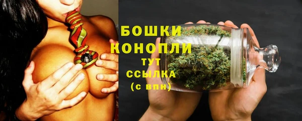 трава Балахна