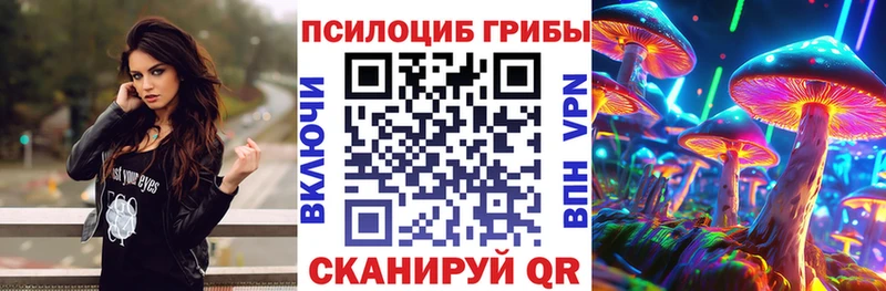 Псилоцибиновые грибы Psilocybe где купить наркотик Ликино-Дулёво
